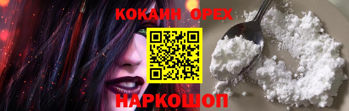 Новозыбков  COCAIN Columbia  Вход с VPN  купить наркотики цена  Кокаин FishScale  Cocaine 