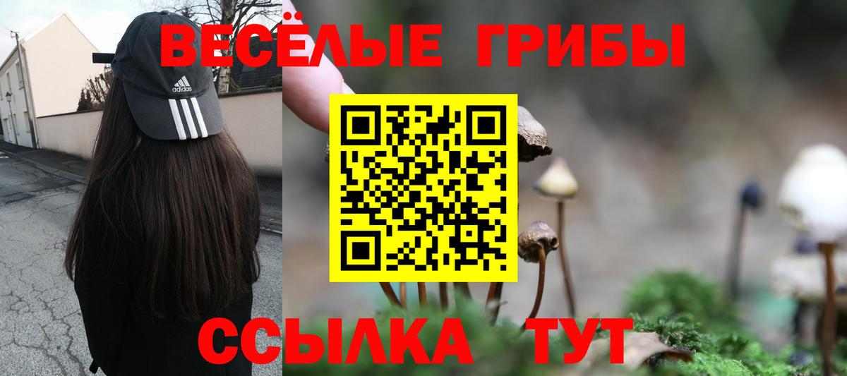 Галлюциногенные грибы Psilocybe  Вход с VPN  Новозыбков 