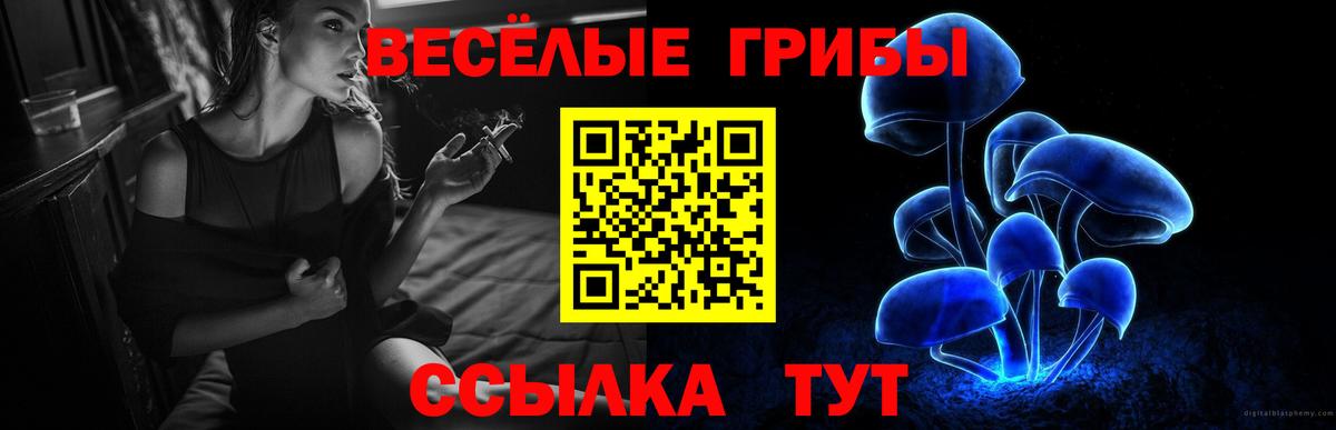 Псилоцибиновые грибы ЛСД Новозыбков